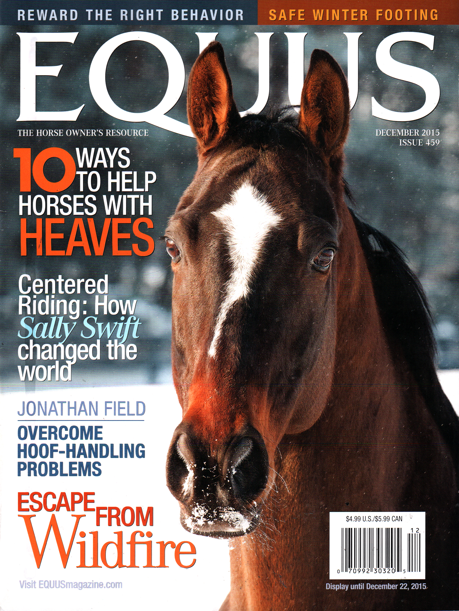 Equus December 01, 2015 Issue Cover
