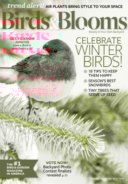 Birds-and-Blooms December 01, 2016 Issue Cover
