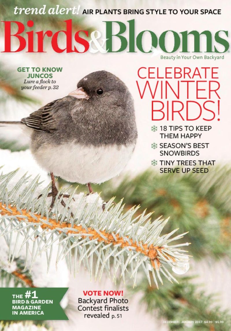 Birds-and-Blooms December 01, 2016 Issue Cover