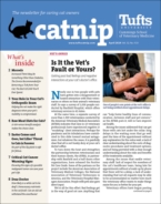 Catnip April 01, 2024 Issue Cover