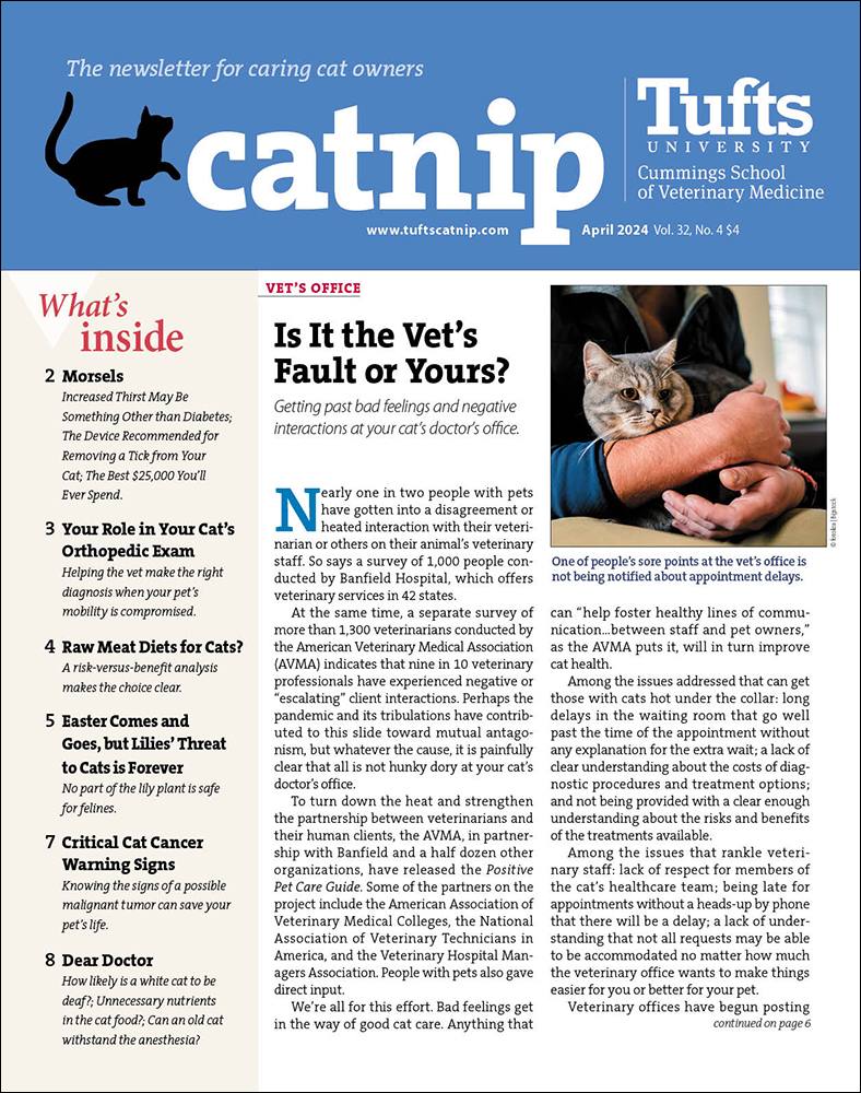 Catnip April 01, 2024 Issue Cover