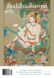 BUDDHADHARMA-THE-PRACTIONERS-QUARTERLY March 01, 2024 Issue Cover