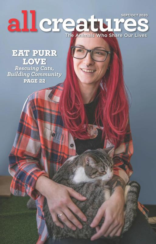 All-Creatures September 01, 2020 Issue Cover