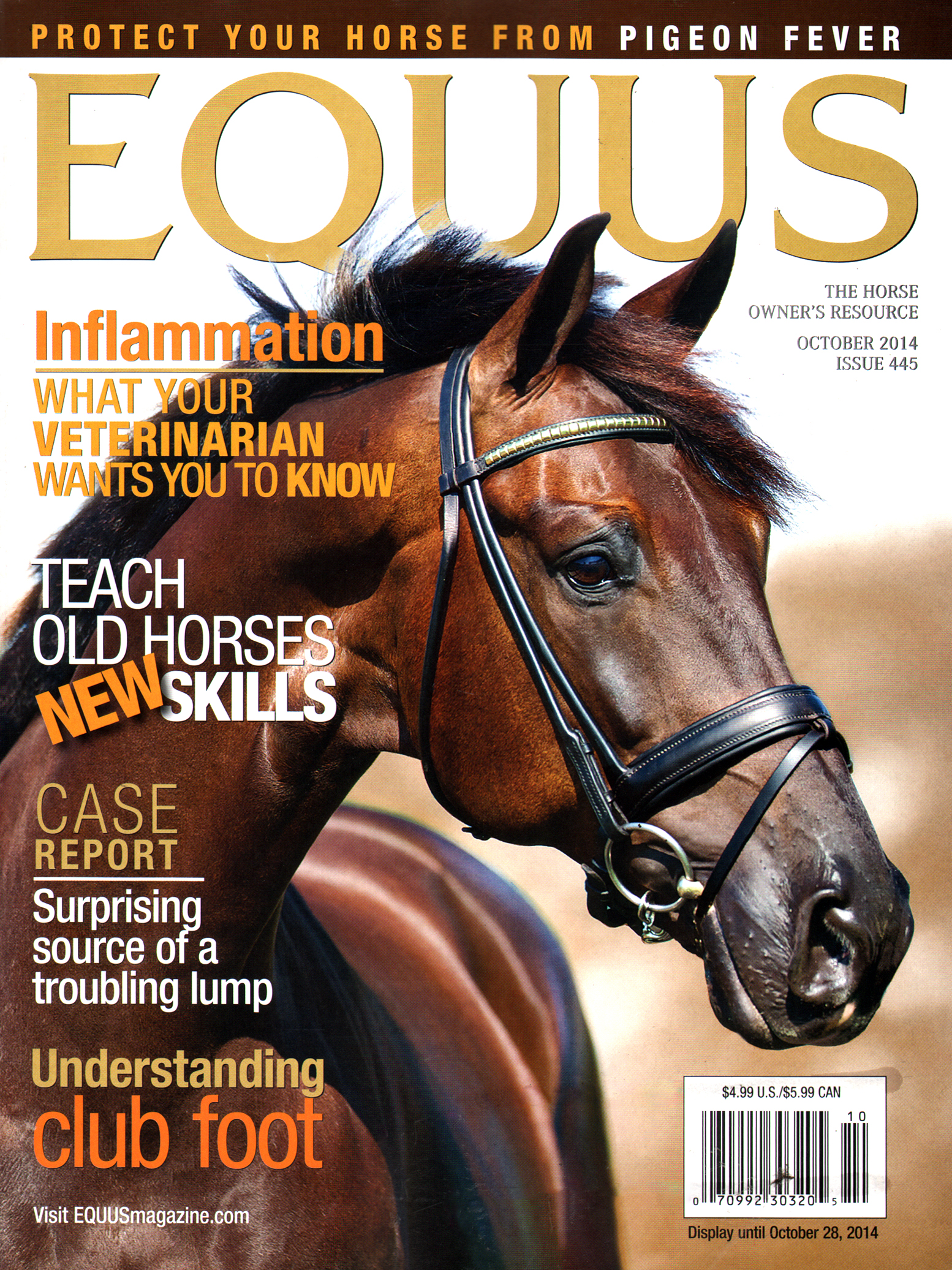 Equus October 01, 2014 Issue Cover