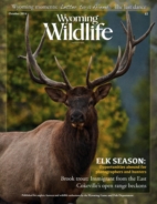 Wyoming-Wildlife October 01, 2014 Issue Cover