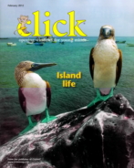 Click February 01, 2012 Issue Cover