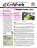 Catwatch October 01, 2019 Issue Cover