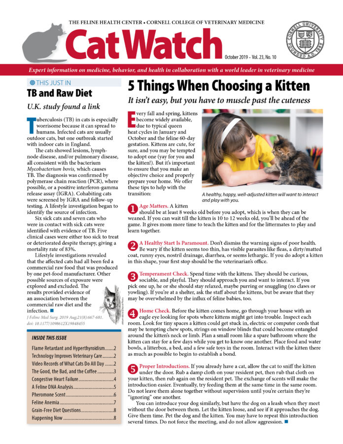 Catwatch October 01, 2019 Issue Cover