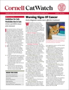 Catwatch July 01, 2022 Issue Cover