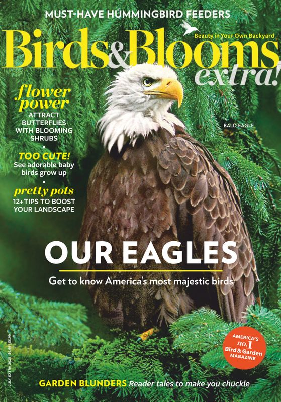 Birds-and-Blooms-Extra July 01, 2020 Issue Cover