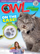 OWL January 01, 2022 Issue Cover