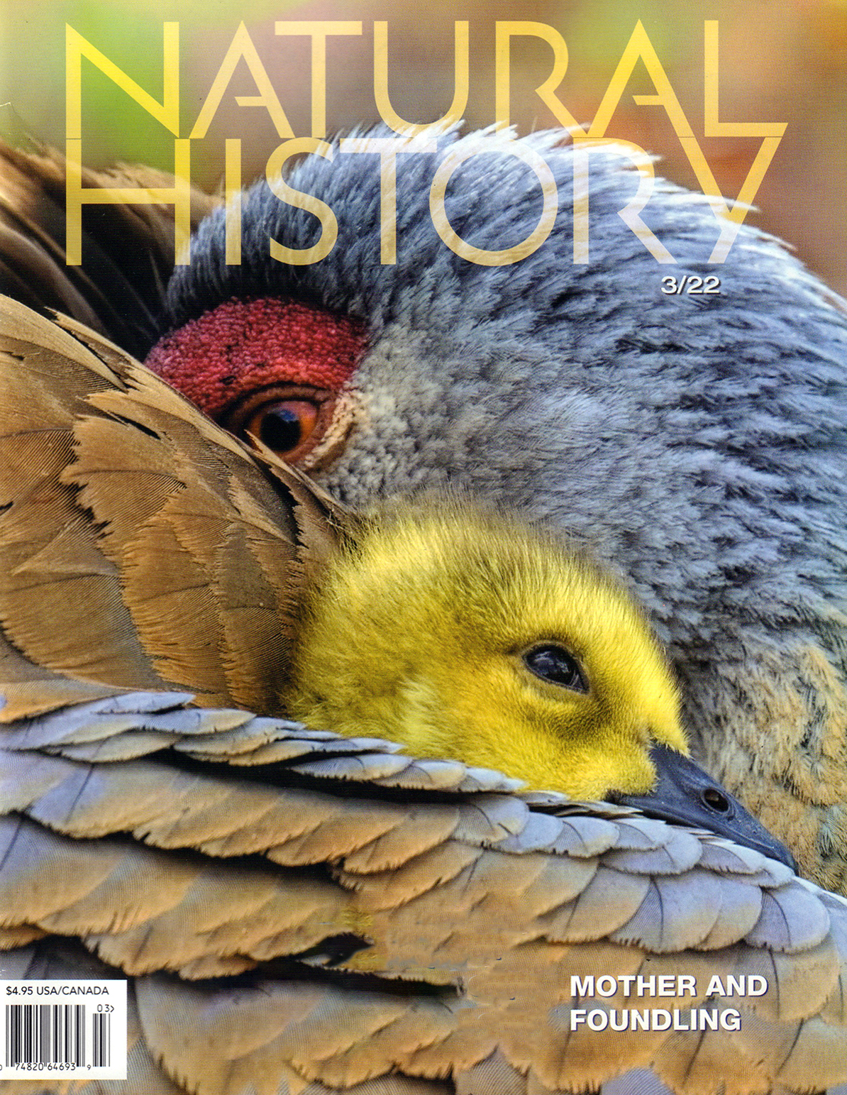 Natural-History March 01, 2022 Issue Cover
