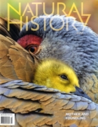 Natural-History March 01, 2022 Issue Cover