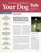 Your-Dog December 01, 2022 Issue Cover