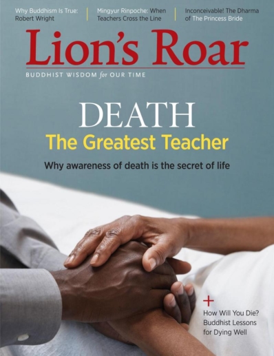 Lion's Roar November 01, 2017 Issue Cover