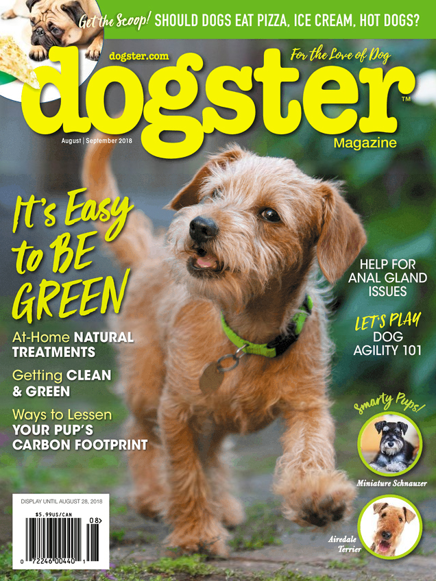 Dogster August 01, 2018 Issue Cover