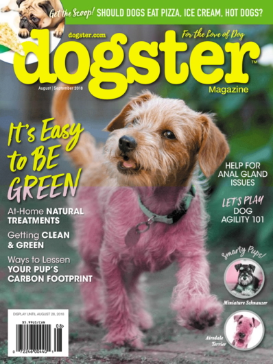 Dogster August 01, 2018 Issue Cover