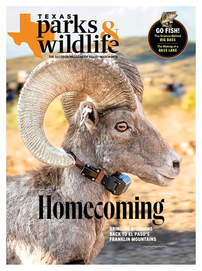 Texas Parks & Wildlife March 01, 2025 Issue Cover