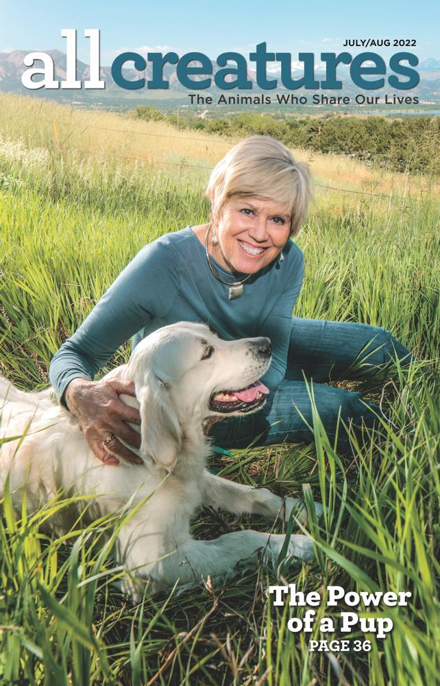 All-Creatures July 01, 2022 Issue Cover
