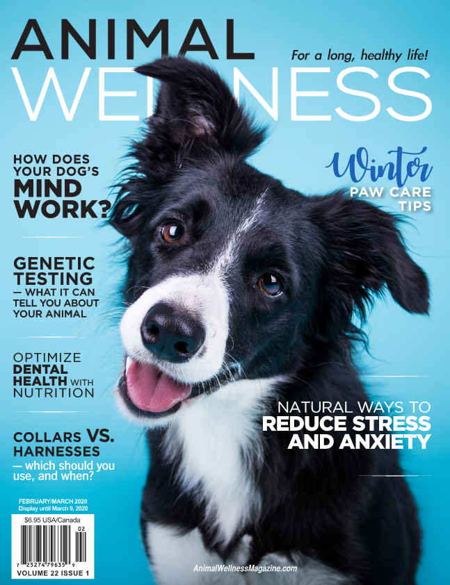Animal-Wellness February 01, 2020 Issue Cover