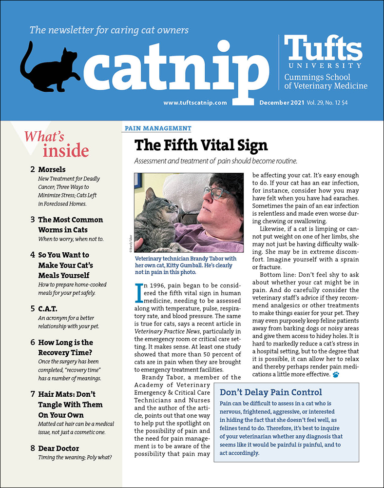 Catnip December 01, 2021 Issue Cover