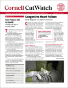 Catwatch January 01, 2026 Issue Cover