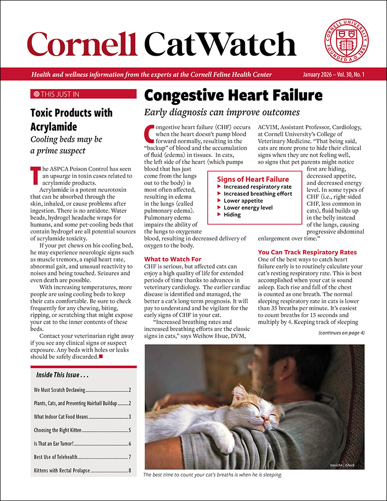 Catwatch January 01, 2026 Issue Cover