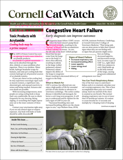 Catwatch January 01, 2026 Issue Cover