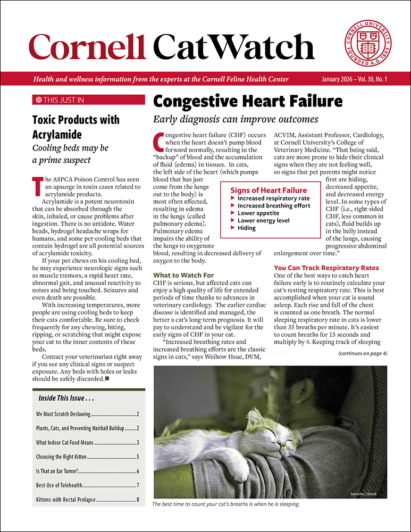 Catwatch January 01, 2026 Issue Cover