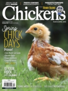 Chickens March 01, 2019 Issue Cover