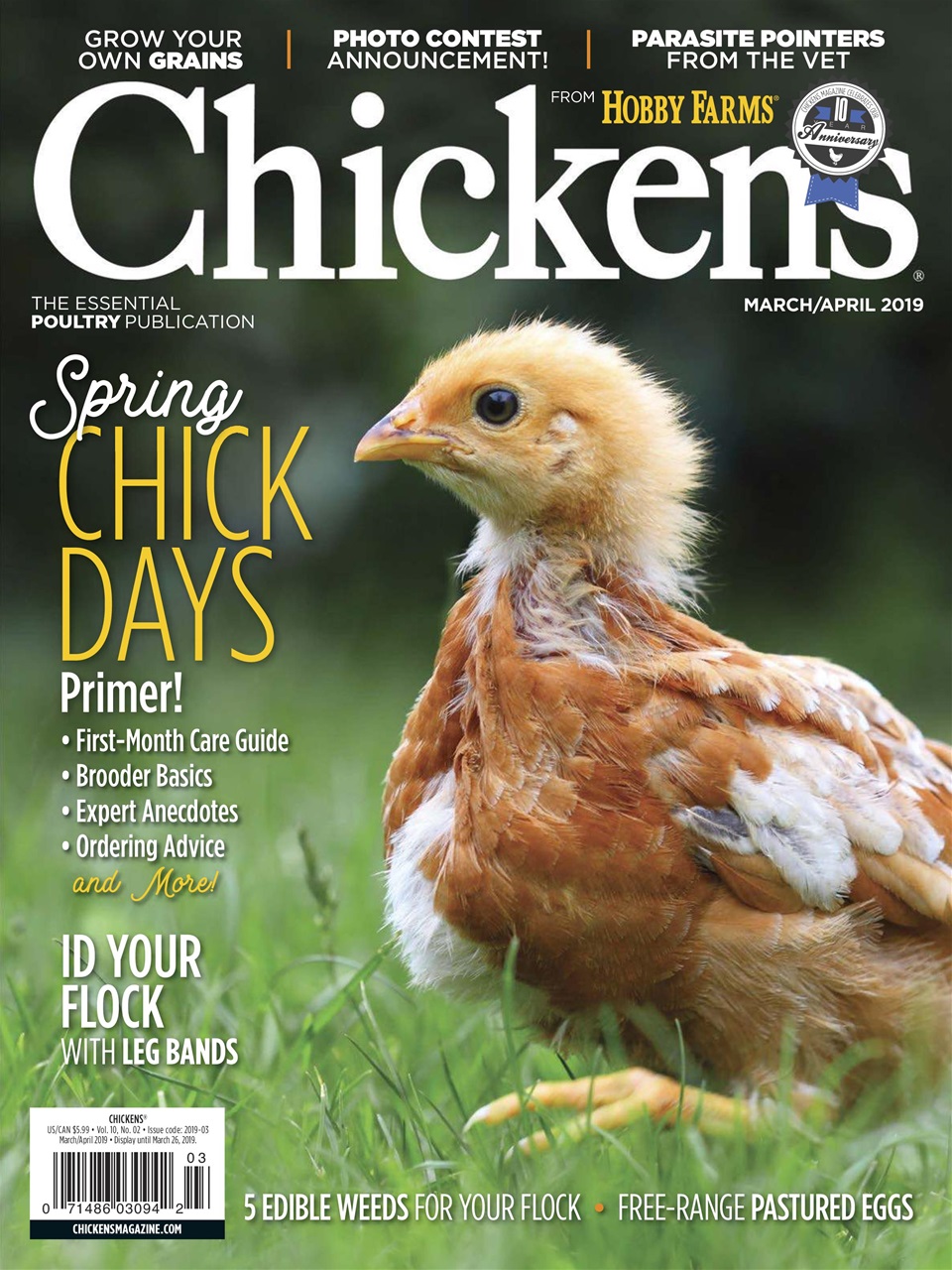 Chickens March 01, 2019 Issue Cover