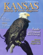 Kansas-Wildlife-and-Parks November 01, 2022 Issue Cover
