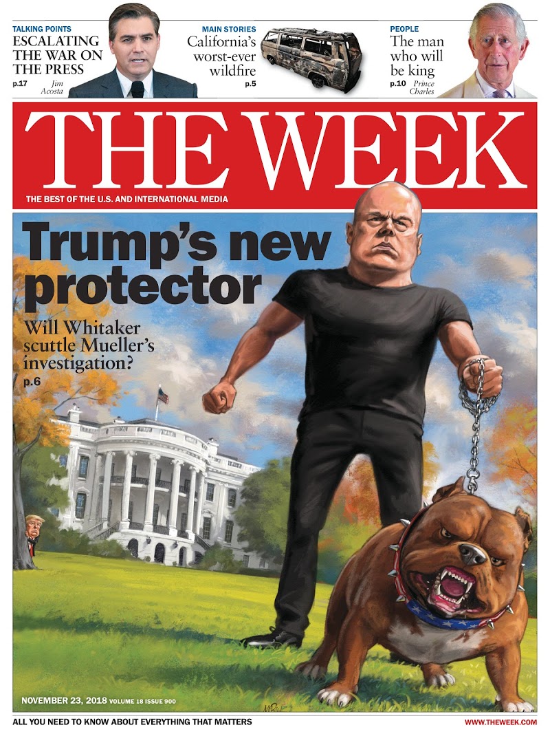The-Week November 23, 2018 Issue Cover