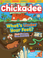 chickaDEE November 01, 2025 Issue Cover