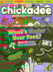 chickaDEE November 01, 2025 Issue Cover
