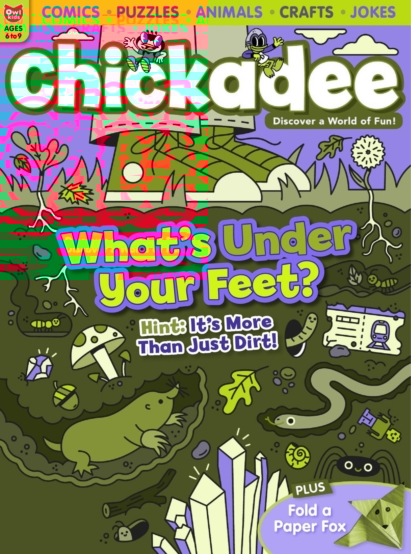 chickaDEE November 01, 2025 Issue Cover