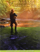 Virginia-Wildlife May 01, 2015 Issue Cover