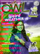OWL November 01, 2019 Issue Cover