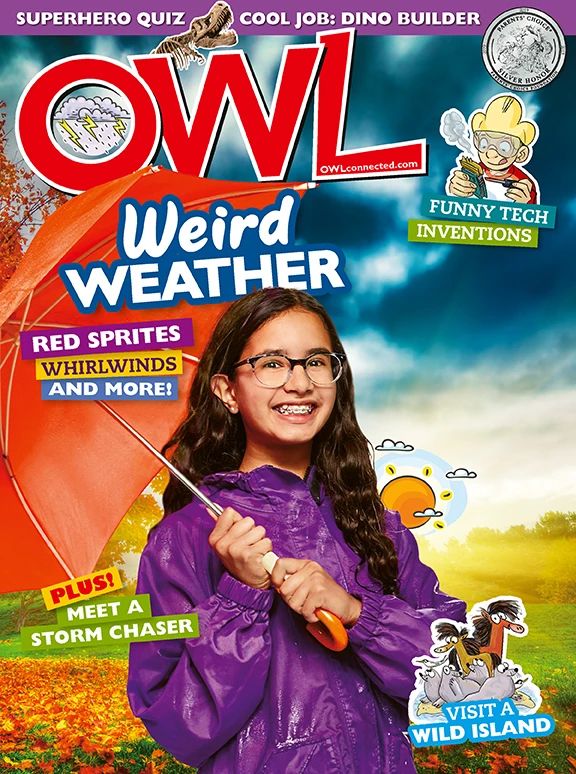 OWL November 01, 2019 Issue Cover
