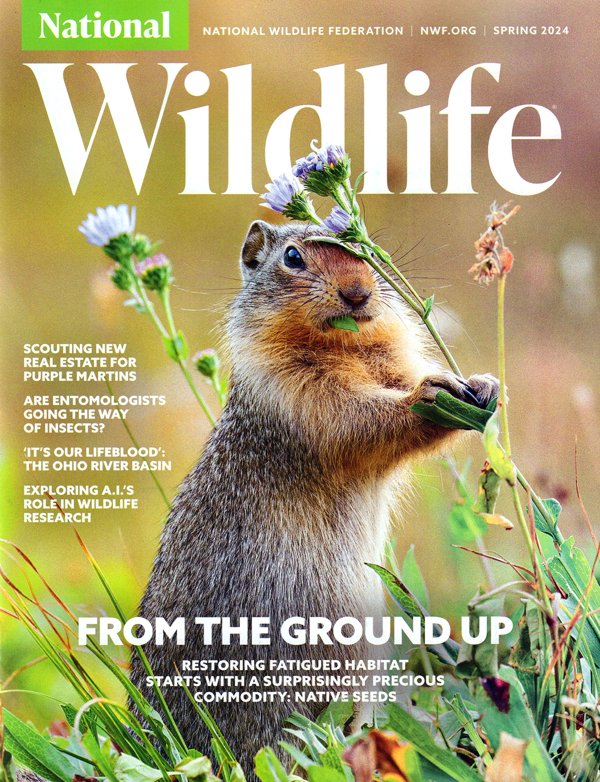 National-Wildlife March 01, 2024 Issue Cover