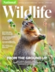 National-Wildlife March 01, 2024 Issue Cover