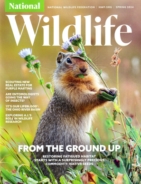 National-Wildlife March 01, 2024 Issue Cover