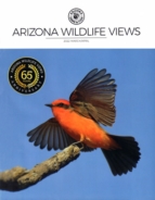 Arizona-Wildlife-Views March 01, 2022 Issue Cover