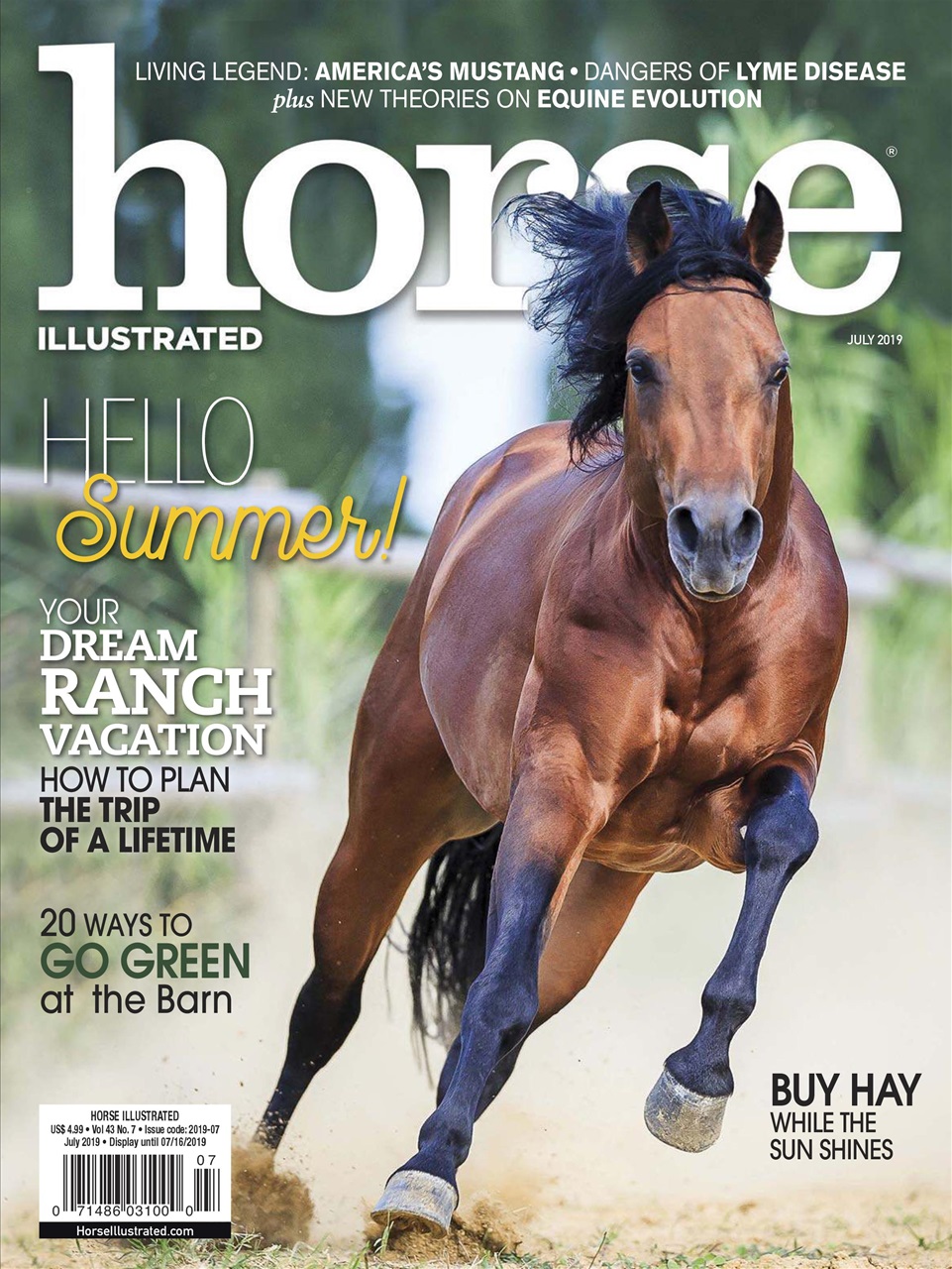 Horse-Illustrated July 01, 2019 Issue Cover