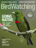 Bird-Watching April 01, 2023 Issue Cover