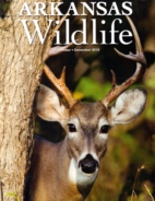 Arkansas-Wildlife November 01, 2019 Issue Cover
