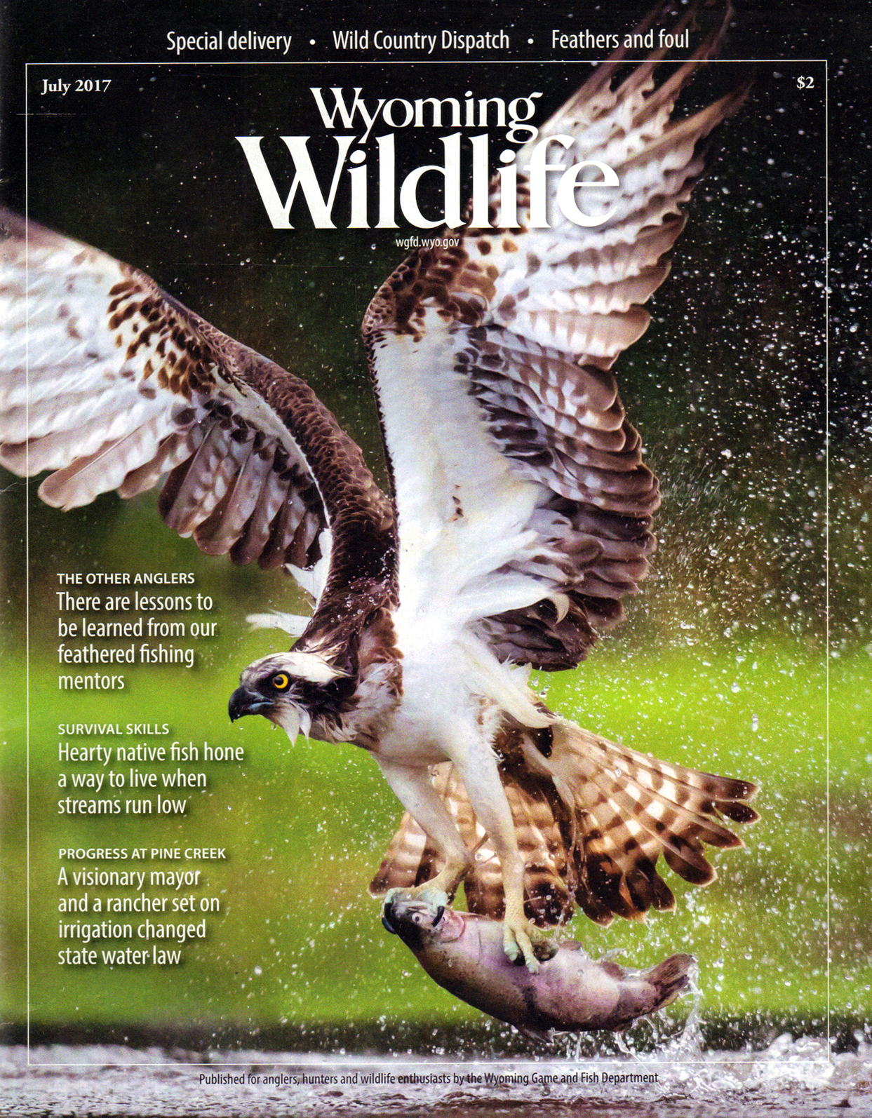 Wyoming-Wildlife July 01, 2017 Issue Cover