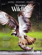 Wyoming-Wildlife July 01, 2017 Issue Cover