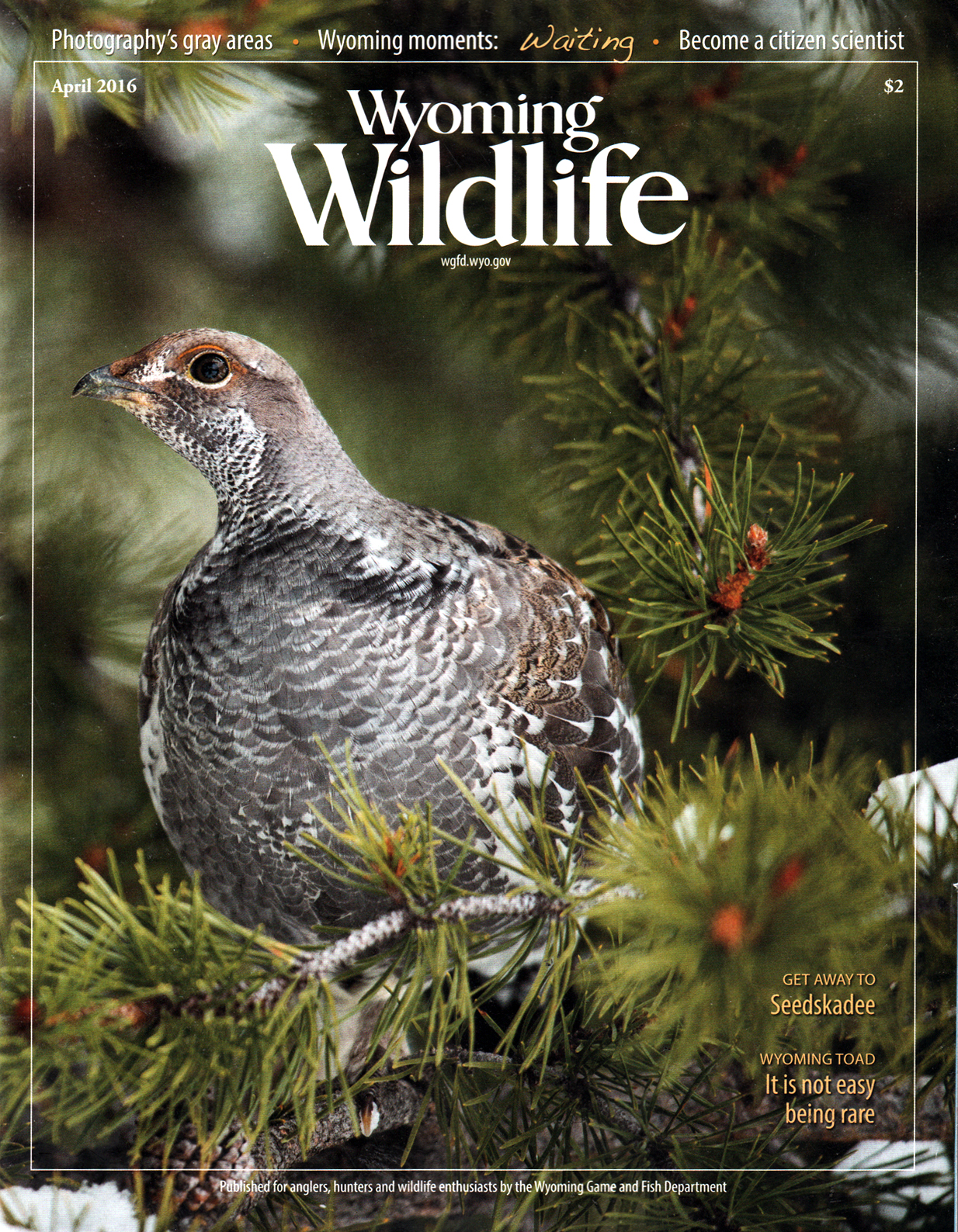 Wyoming-Wildlife April 01, 2016 Issue Cover