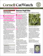 Catwatch March 01, 2026 Issue Cover